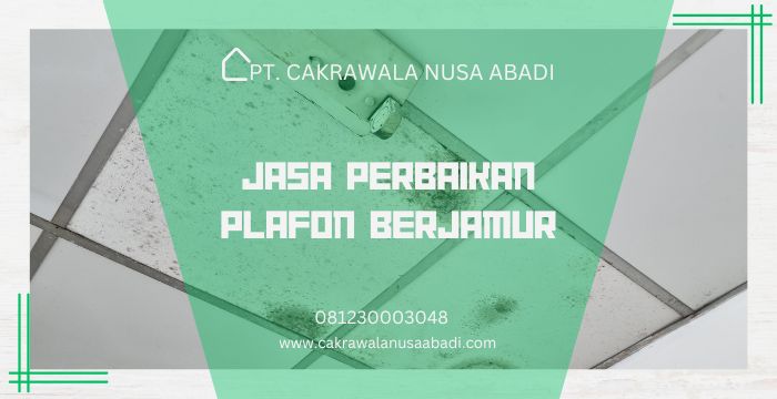 Jasa Perbaikan Plafon Berjamur
